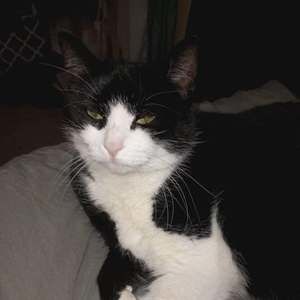 Meet your Posher, Kathy